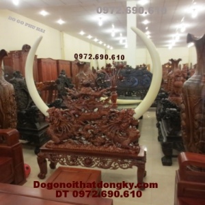  Giá để ngà voi, Dogonoithatdongky.com GN11