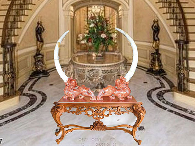 Ngà voi nhân tạo Ngà voi nhân tạo